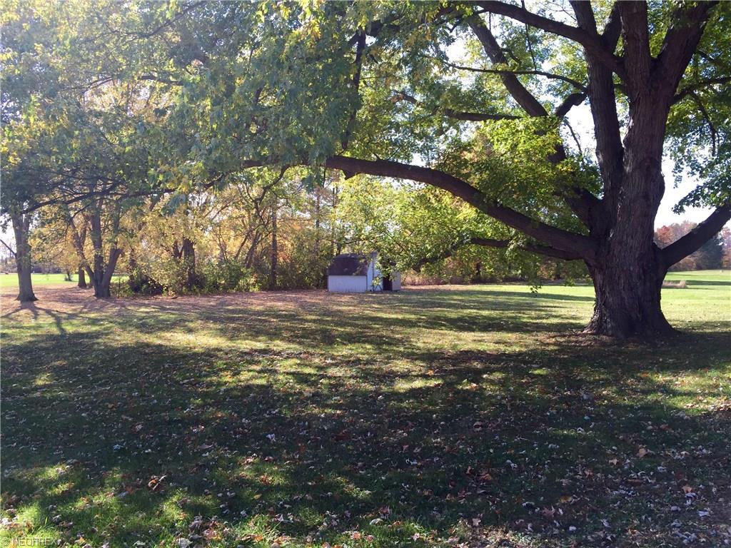 9138 Bechtel Rd, Elyria, OH 44035 photo 6