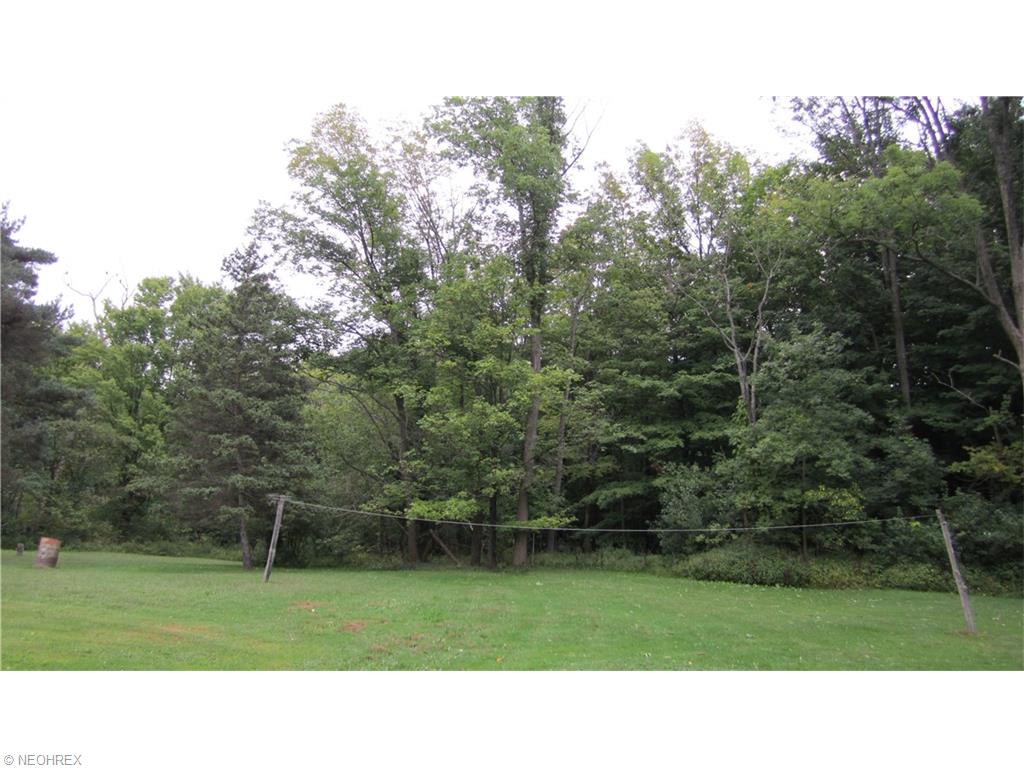 9217 Ravenna Rd, Chardon, OH 44024 photo 22