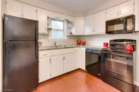 9505 Hoose Rd, Mentor, OH 44060 photo 4