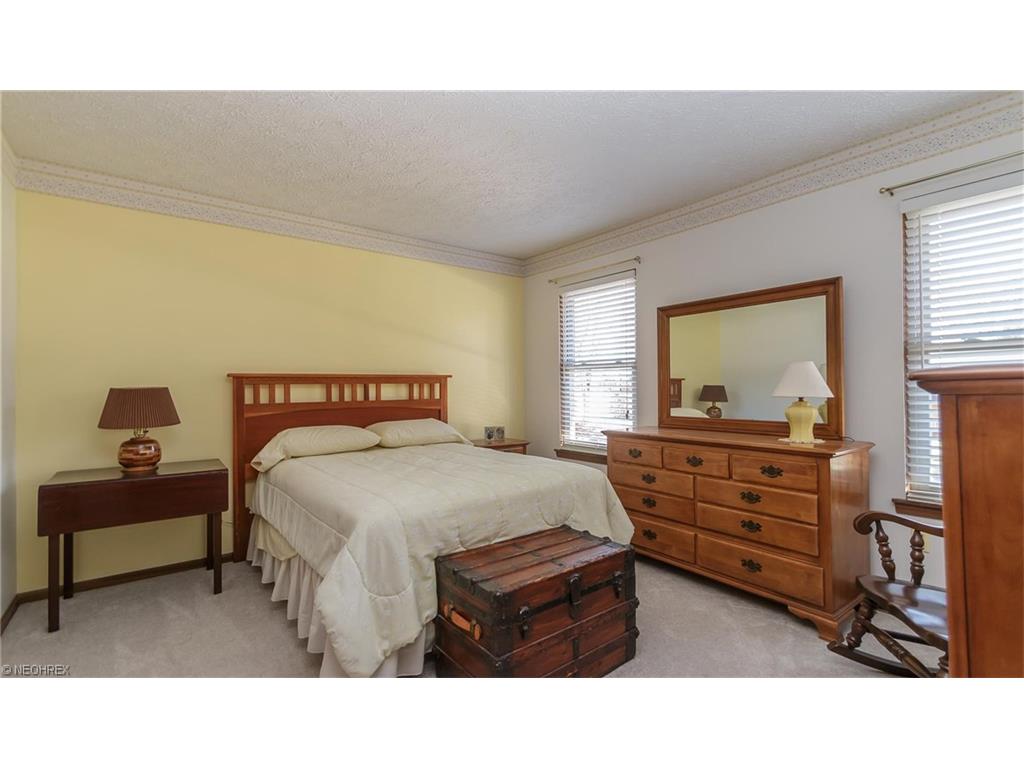 4359 Oakbrook Dr, Perry, OH 44081 photo 19