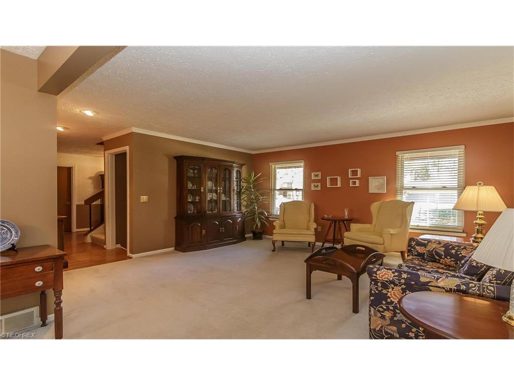 4359 Oakbrook Dr, Perry, OH 44081 photo 10