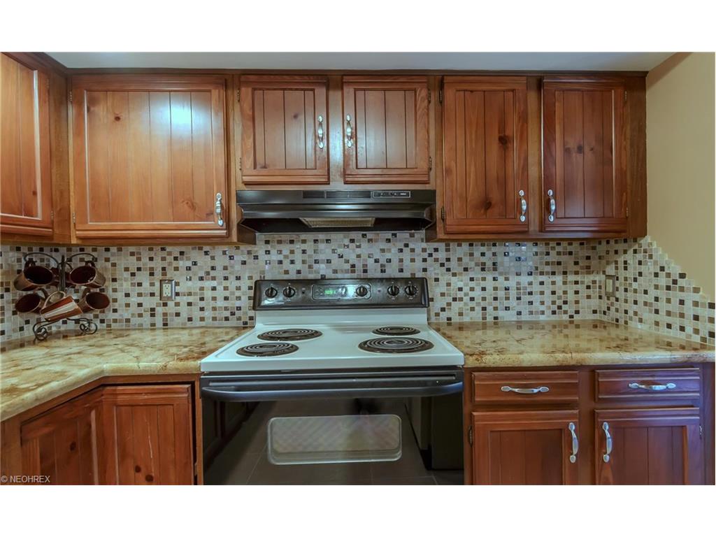 4359 Oakbrook Dr, Perry, OH 44081 photo 7