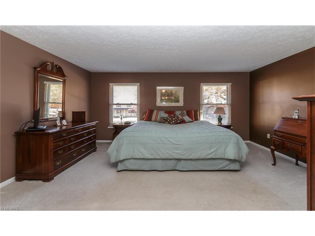 4359 Oakbrook Dr, Perry, OH 44081 photo 15