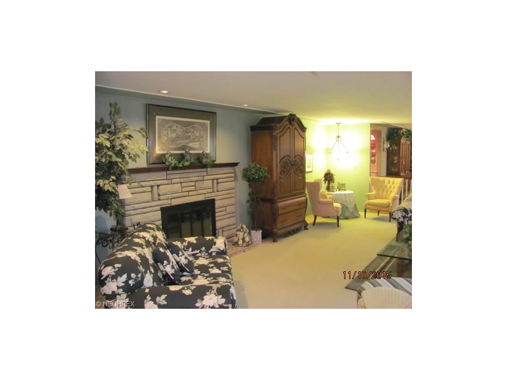 5545 Riveredge Dr, Elyria, OH 44035 photo 7