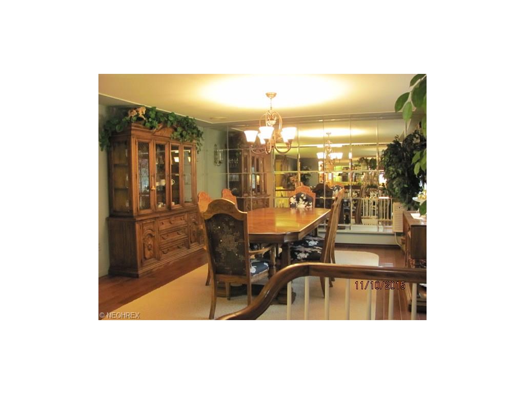5545 Riveredge Dr, Elyria, OH 44035 photo 9