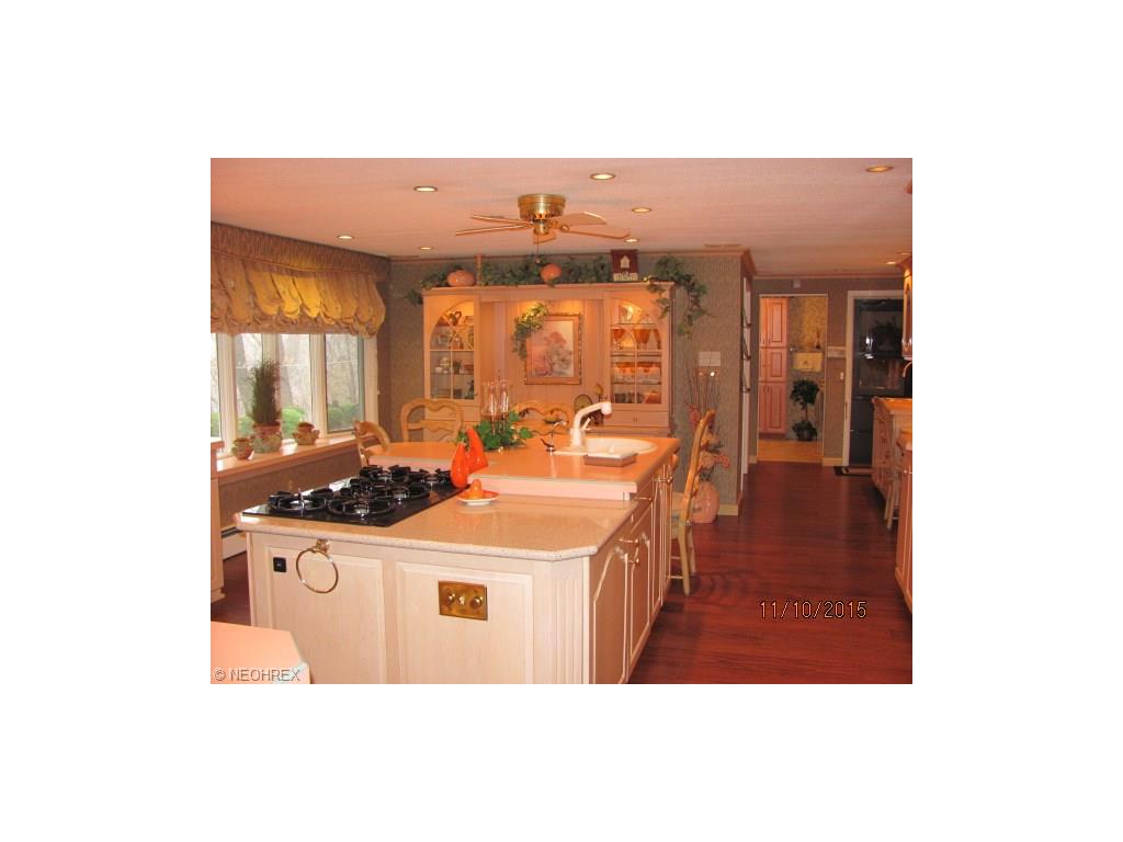 5545 Riveredge Dr, Elyria, OH 44035 photo 16