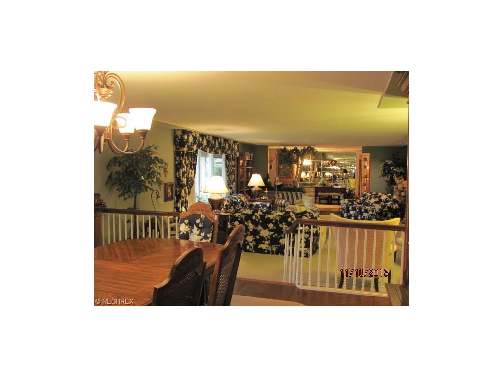 5545 Riveredge Dr, Elyria, OH 44035 photo 10