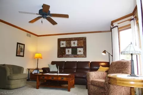 3025 Perry Park Rd, Perry, OH 44081 photo 15