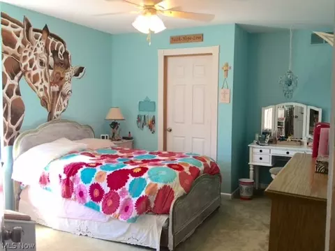 3025 Perry Park Rd, Perry, OH 44081 photo 24
