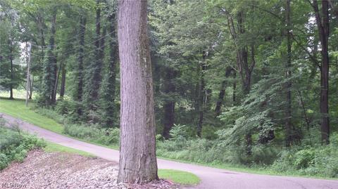 22107 Yoder Rd, Minerva, OH 44657 photo 1