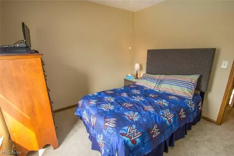 233 Kansas Ave, Elyria, OH 44035 photo 32