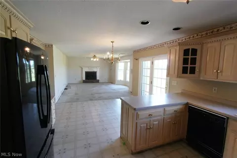 42108 Biggs Rd, Lagrange, OH 44050 photo 6