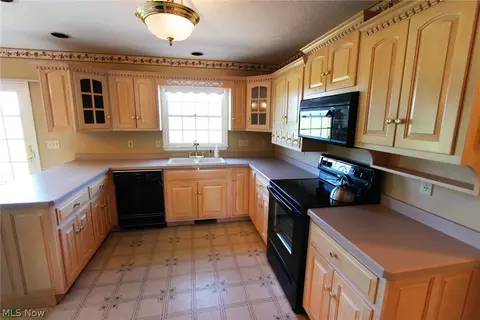 42108 Biggs Rd, Lagrange, OH 44050 photo 5