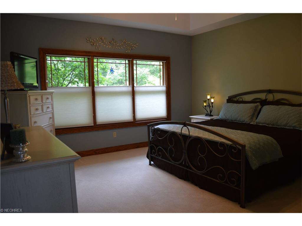 265 Ruby Ln, Streetsboro, OH 44241 photo 5