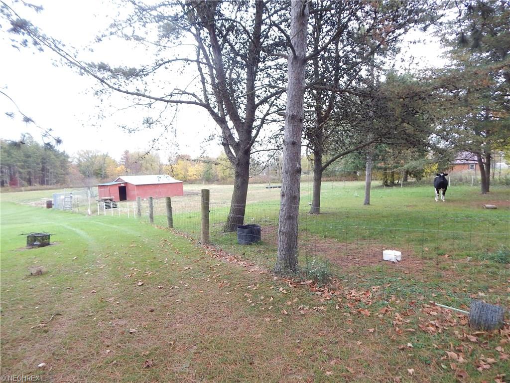 4656 Egypt Rd, Willard, OH 44890 photo 6