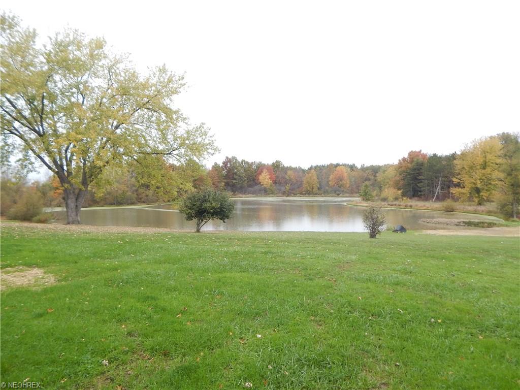 4656 Egypt Rd, Willard, OH 44890 photo 5