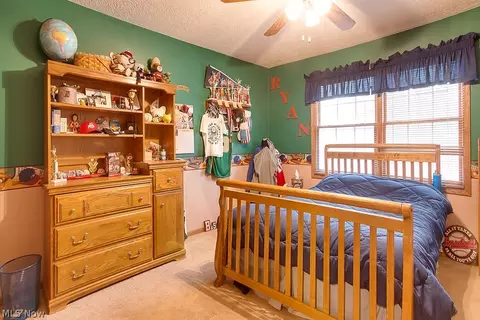 5259 S Ridge Rd W, Ashtabula, OH 44004 photo 17