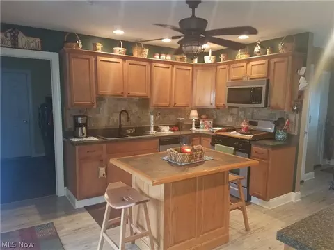 3021 Ninety Rd, Ashtabula, OH 44004 photo 3