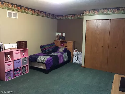 42077 Whitney Rd, Lagrange, OH 44050 photo 10
