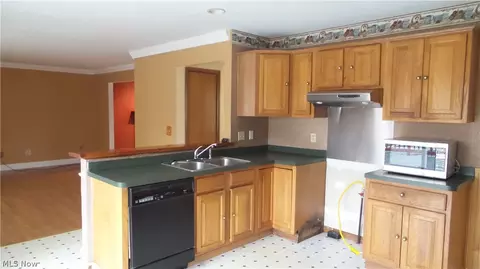 4960 Davis Rd, Perry, OH 44081 photo 8