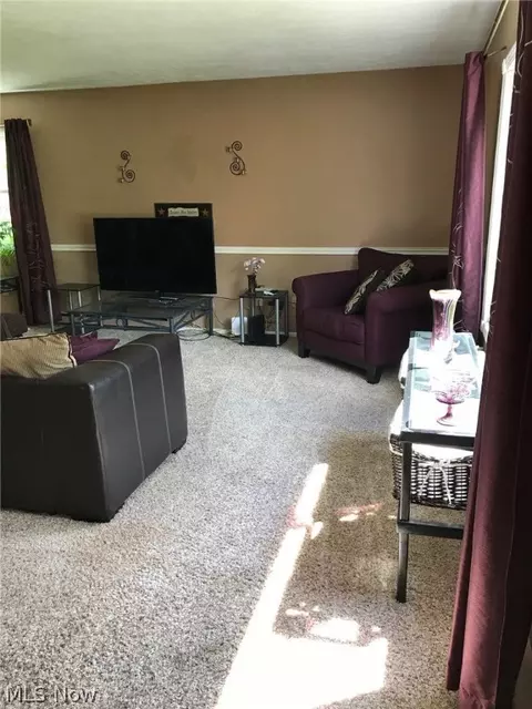 6025 Carsten Rd, Medina, OH 44256 photo 9