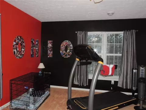 221 Pinehurst Ave, Elyria, OH 44035 photo 14