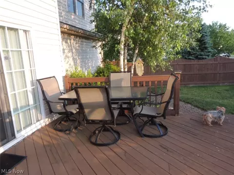 221 Pinehurst Ave, Elyria, OH 44035 photo 29