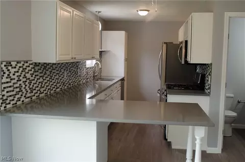 713 Black Bear Run, Lagrange, OH 44050 photo 5