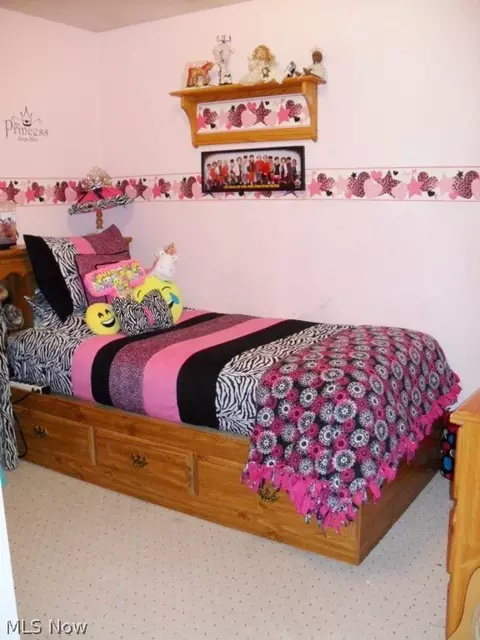 24257 Sandy Spring Rd, Minerva, OH 44657 photo 9