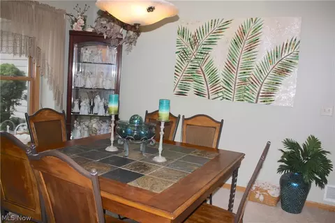 225 Kansas Ave, Elyria, OH 44035 photo 6