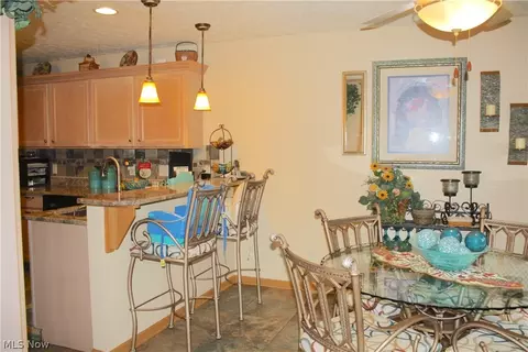 225 Kansas Ave, Elyria, OH 44035 photo 10