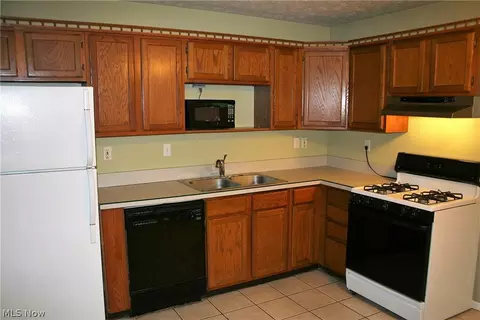 258 Stable Dr, Lagrange, OH 44050 photo 3