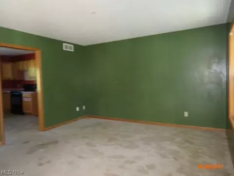 9784 Colton Rd, Windham, OH 44288 photo 8
