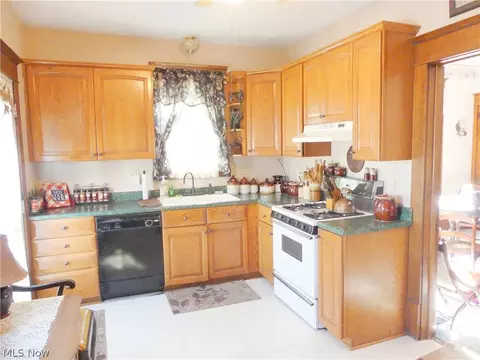 107 Murray Ave, Minerva, OH 44657 photo 6