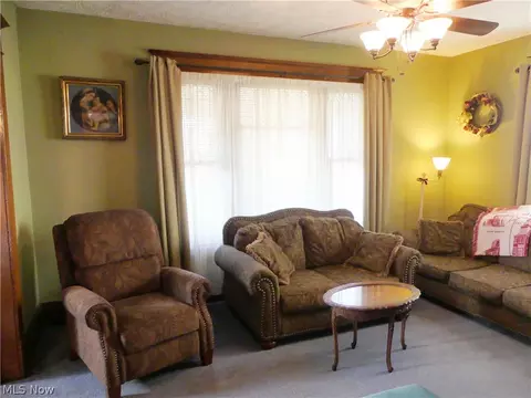 107 Murray Ave, Minerva, OH 44657 photo 16