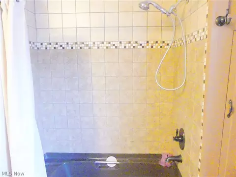 107 Murray Ave, Minerva, OH 44657 photo 29