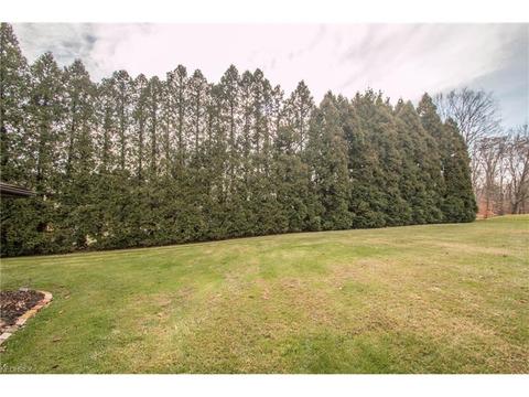 8116 Dalepoint Rd, Independence, OH 44131 photo 27
