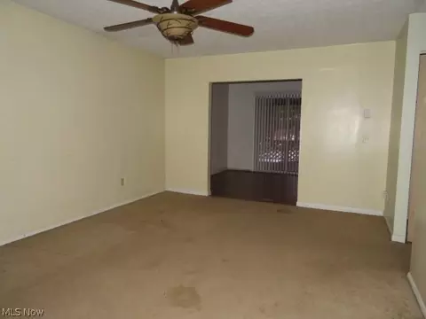 9948 Green Dr, Windham, OH 44288 photo 4