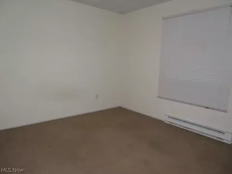 9948 Green Dr, Windham, OH 44288 photo 7