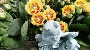 672 Evans Ave, Akron, OH 44310 photo 5