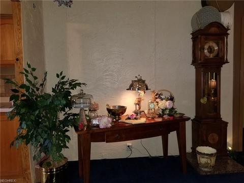 131 Birchbark Dr, Elyria, OH 44035 photo 11