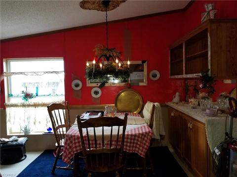 131 Birchbark Dr, Elyria, OH 44035 photo 19