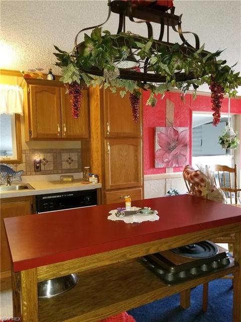 131 Birchbark Dr, Elyria, OH 44035 photo 25