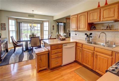 172 Granger Dr, Lagrange, OH 44050 photo 14