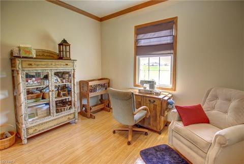 172 Granger Dr, Lagrange, OH 44050 photo 9