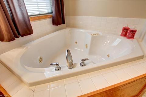172 Granger Dr, Lagrange, OH 44050 photo 25