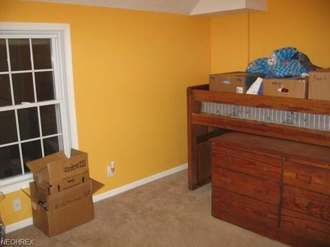 106 Euclid St, Elyria, OH 44035 photo 14
