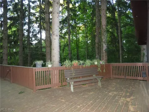 4719 Wenz Rd, Wakeman, OH 44889 photo 26