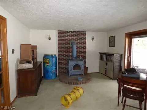 4719 Wenz Rd, Wakeman, OH 44889 photo 13
