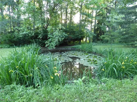 4719 Wenz Rd, Wakeman, OH 44889 photo 23